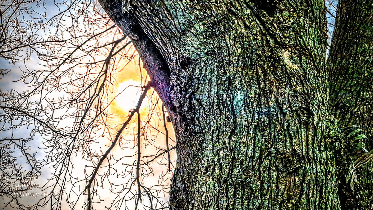 OthrRelm's tweet image. 🧡Hi everyone ✨️Some ☀️sun captures just now to share,.hope your afternoon is pleasant there💫.Not Ai Here💛 #NotAi #Sunvibes #Cloudscape #reality