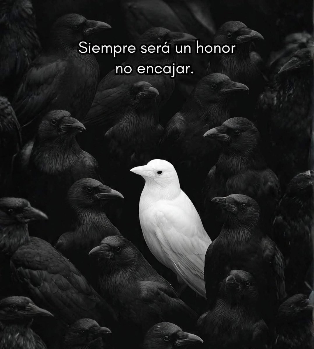 Lonely🥀 (@angelo_uf) on Twitter photo 