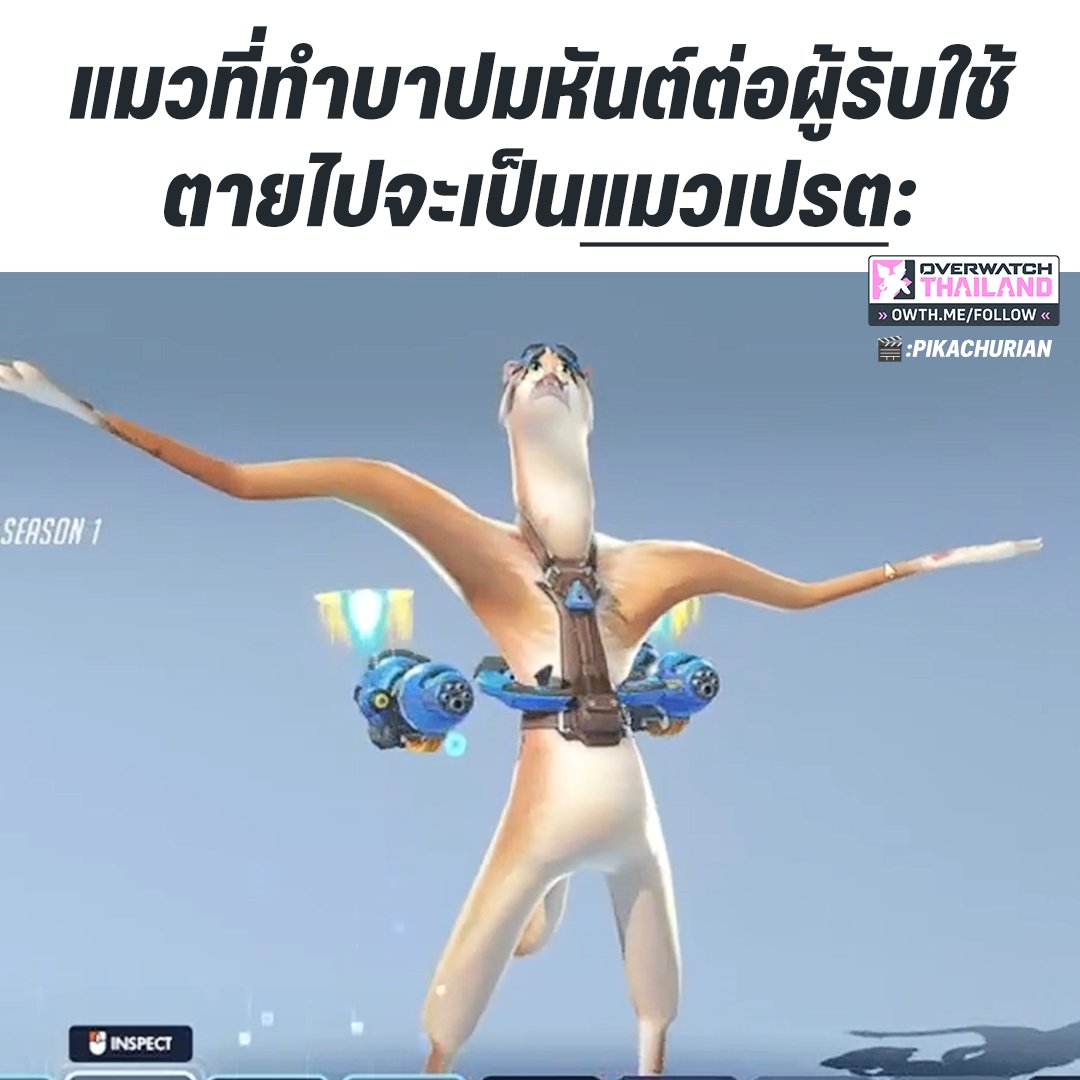 แมวตีพ่อตีแม่