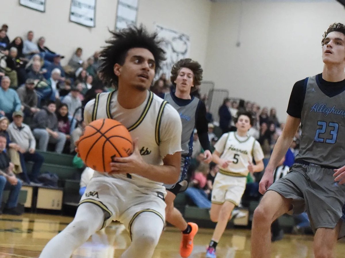 WilsonMemHoops tweet media