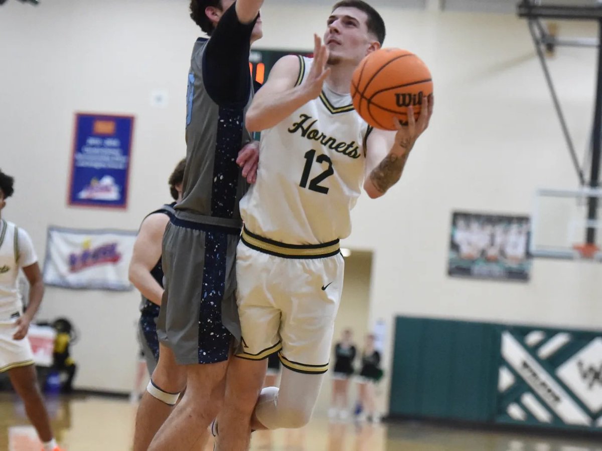 WilsonMemHoops tweet media