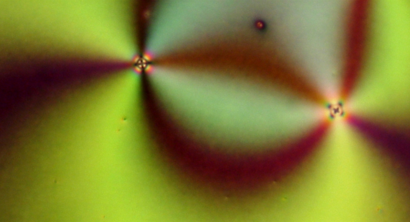 MPOmagazine's tweet image. AI model accelerates design of defect-based materials: hubs.li/Q044XyrC0

#materialscience