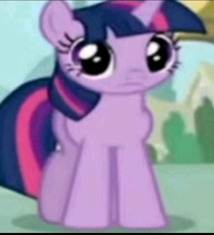 //Star☆ tweet media