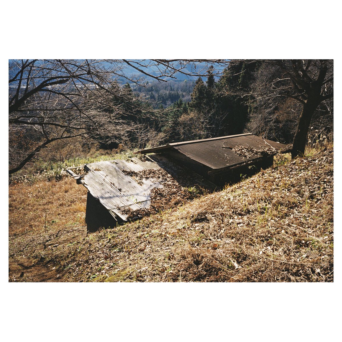 hacograph (@hacograph) on Twitter photo 