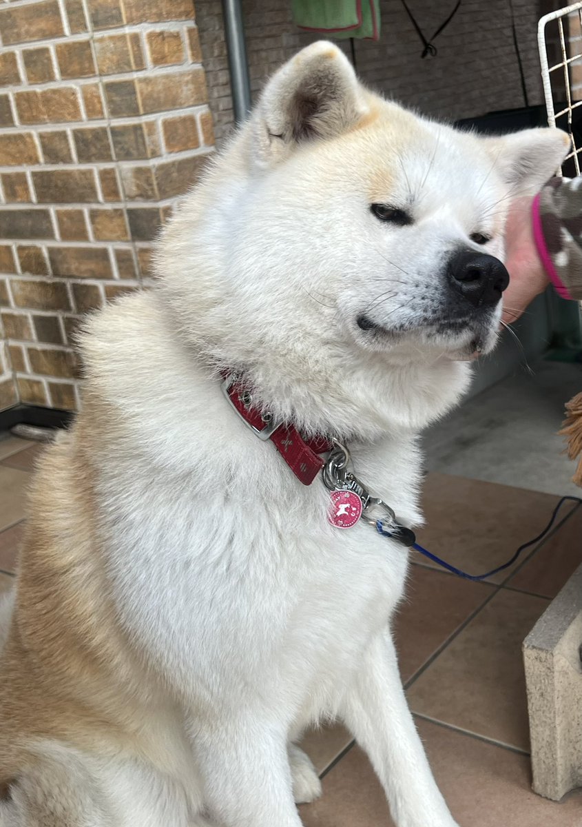 ْ (@65907_30_4) / Posts / X