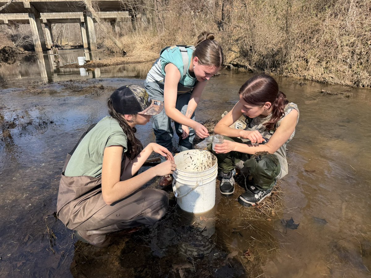 Kyler Hecke tweet media