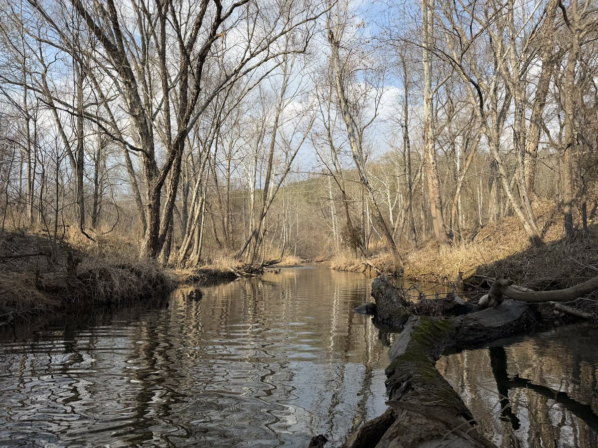 Kyler Hecke tweet media