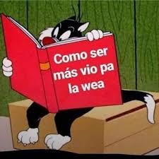 LEV Ray Matias tweet media