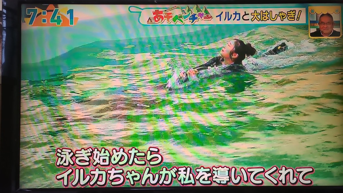 これ、堺のとこかな?
プールは激狭いし、何頭居るの?
プールほんま狭すぎ…
内容も、イルカが玩具にされてる感じ。
イルカのストレス半端ないやろうな…と感じる。
#ノアドルフィンドーム