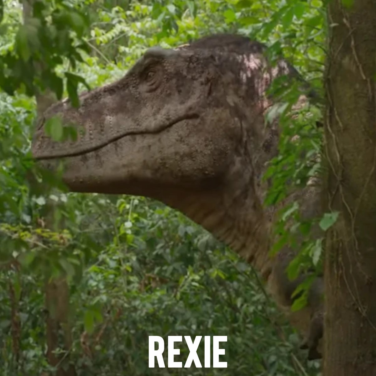 Mathzilla Rex tweet media