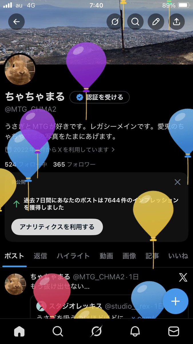 ちゃちゃまる tweet media