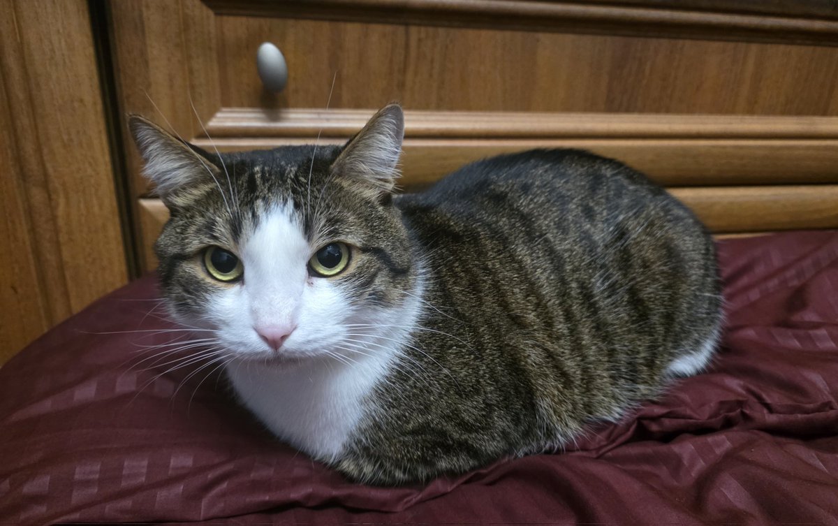 Tory Jam 🇺🇦🕊️ tweet media