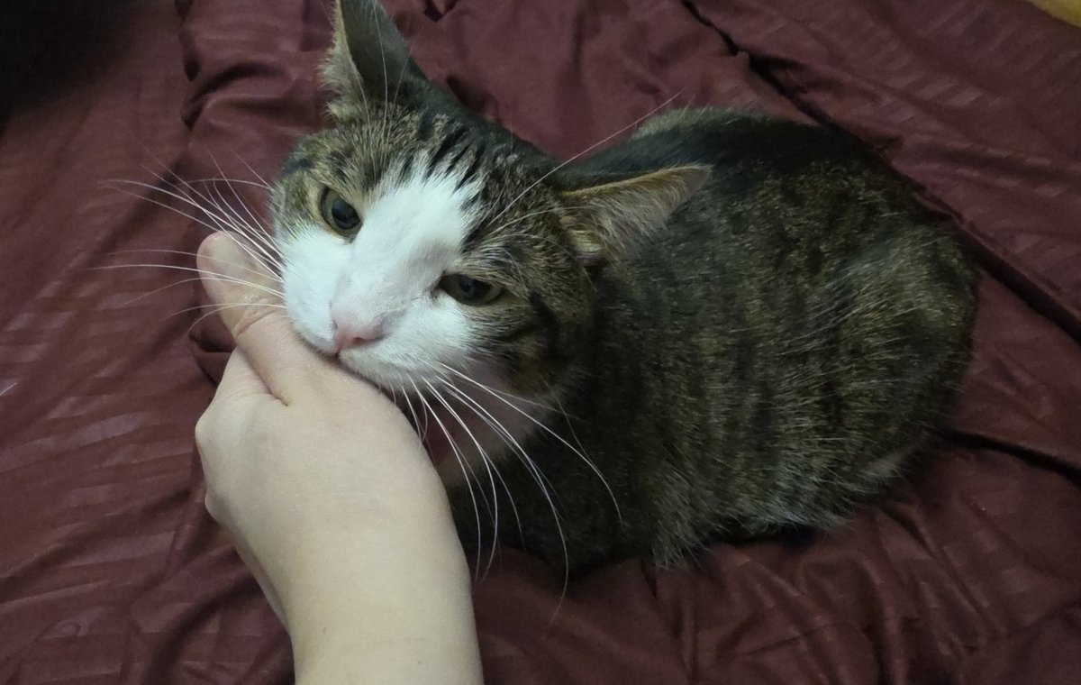 Tory Jam 🇺🇦🕊️ tweet media