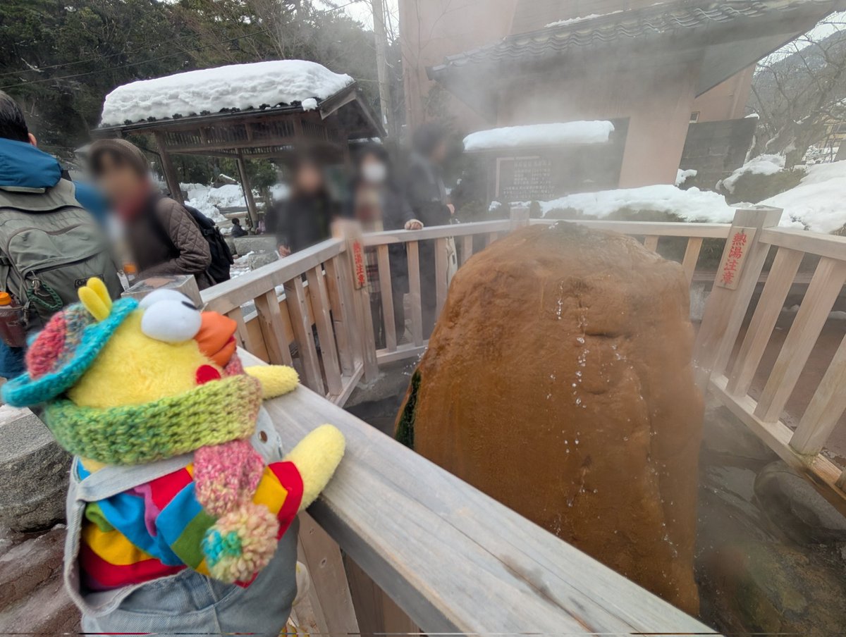 ポインコと山歩き🐥🐥🐾 (@paopaopanda_jp) / Posts / X