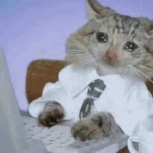 Syu990's tweet image. 定投 $HUMA 第四天

昨天没有定投执行计划

是因为前天一大早刷到网抑云日推的歌福至心灵

立马请假睡了一天

HUMA 昨天开始可以新一季领质押空投了

没领的兄弟记得领一下

阿猫也是全部质押

币价几乎没受到太多空投影响

可能因为是真正的底部了

当然也没有什么起色