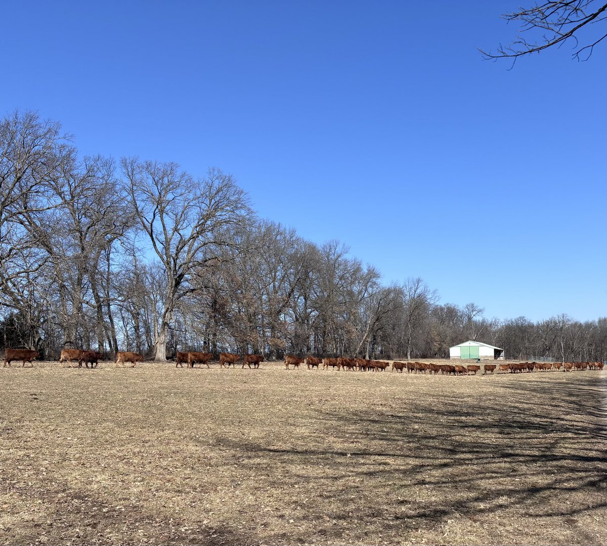 Garth Gatson tweet media