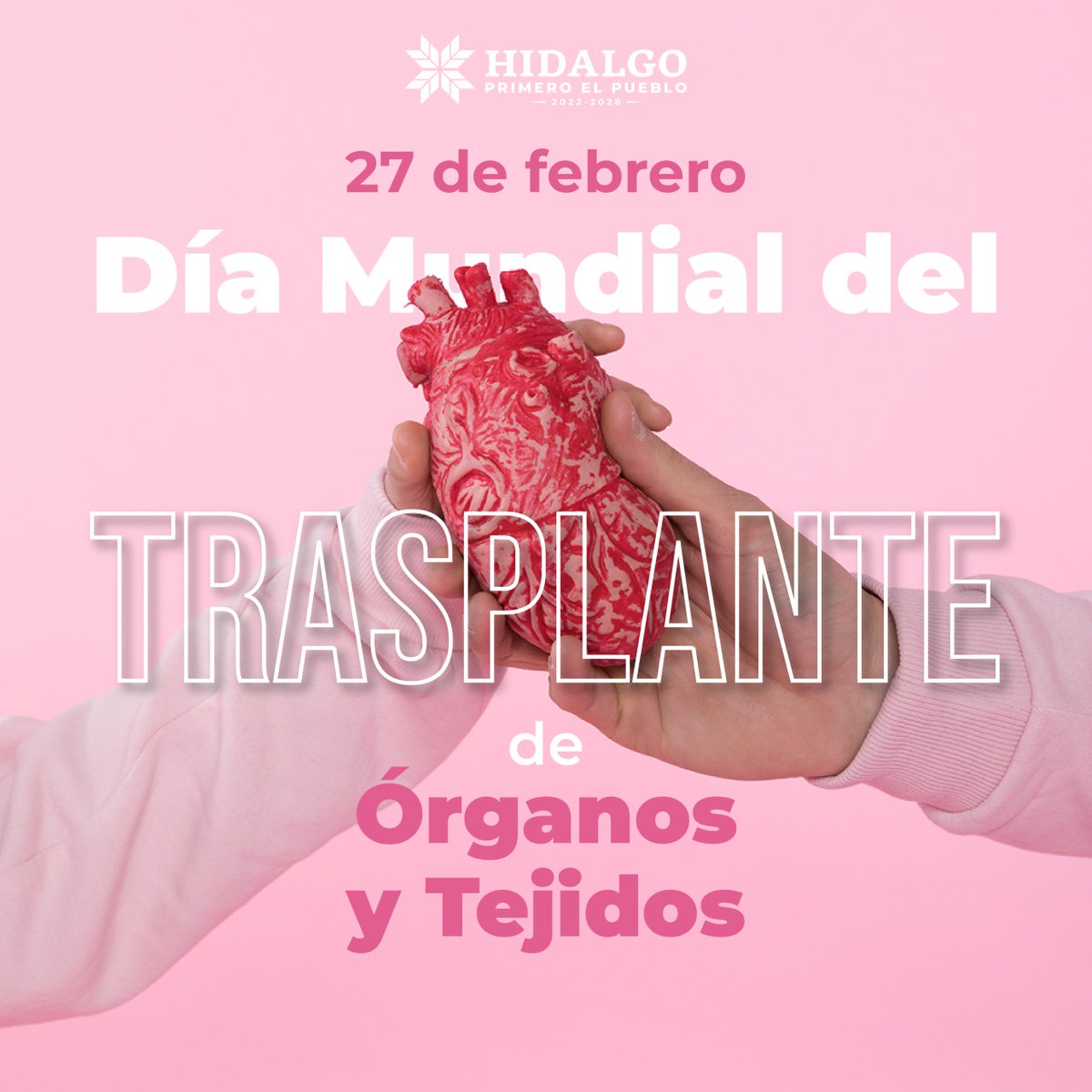 💚 En el Día Mundial del Trasplante de Órganos y Tejidos, recordamos que la solidaridad puede convertirse en esperanza para muchas personas.
Infórmate sobre la donación, reflexiona y conversa en familia.
En Hidalgo, estamos comprometidos con la vida y la cultura del trasplante.
