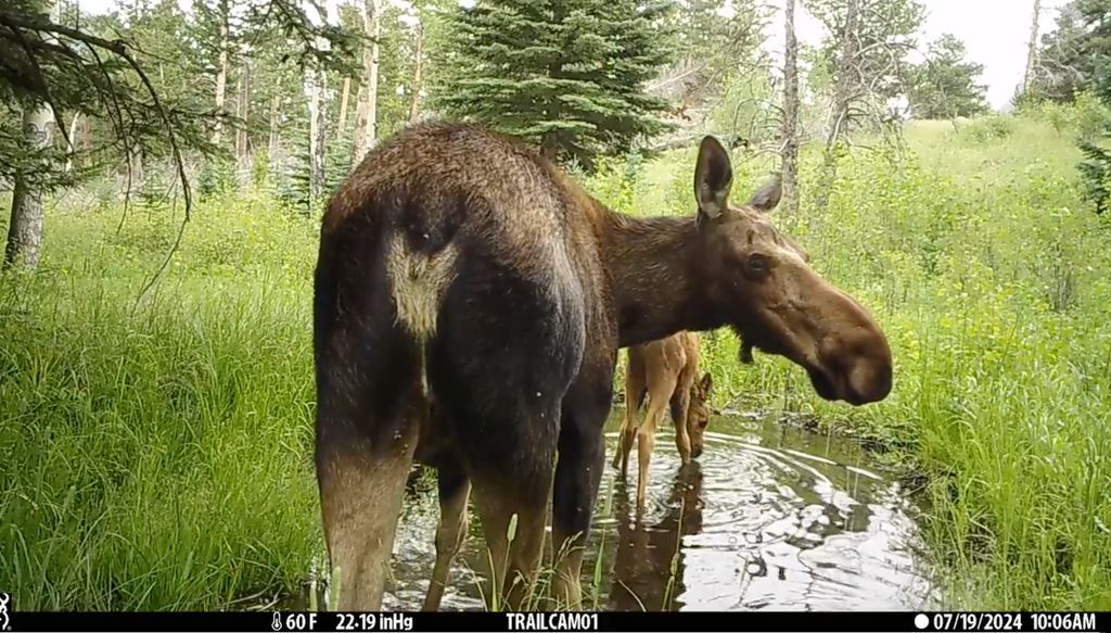 WestviewAP tweet media