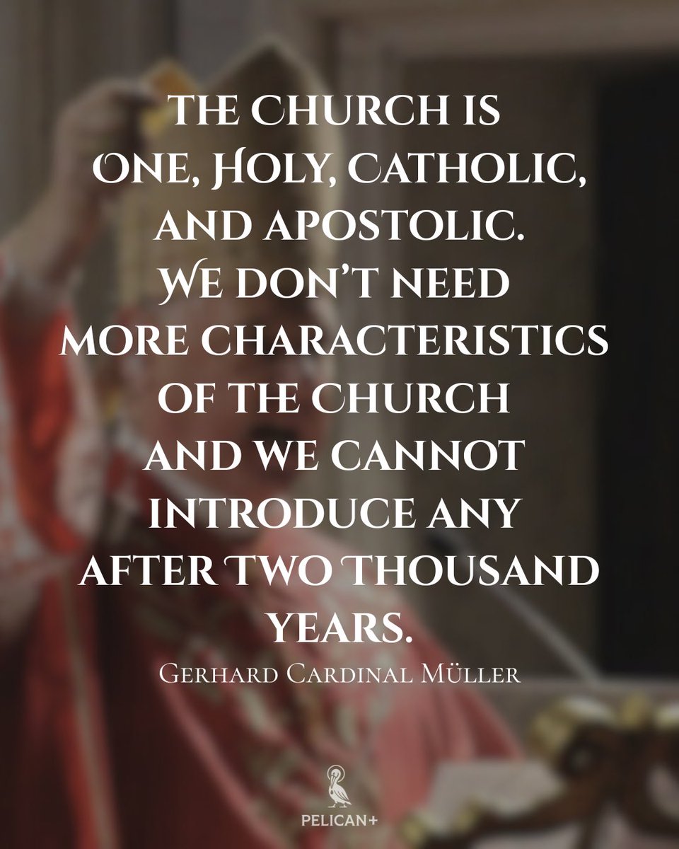 Cardinal Müller:

“We don’t need more characteristics of the Church.”

pelicanquill.com/snippet/61804