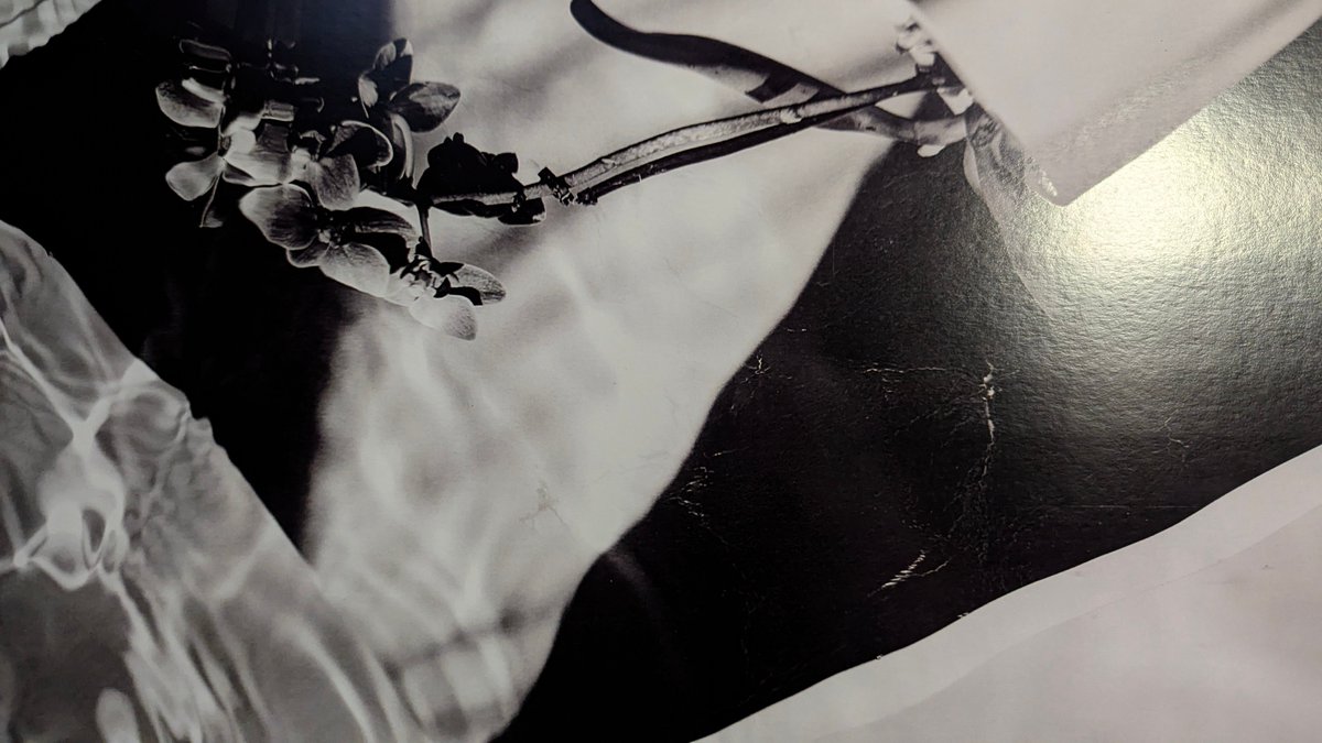 Baker1404 tweet media