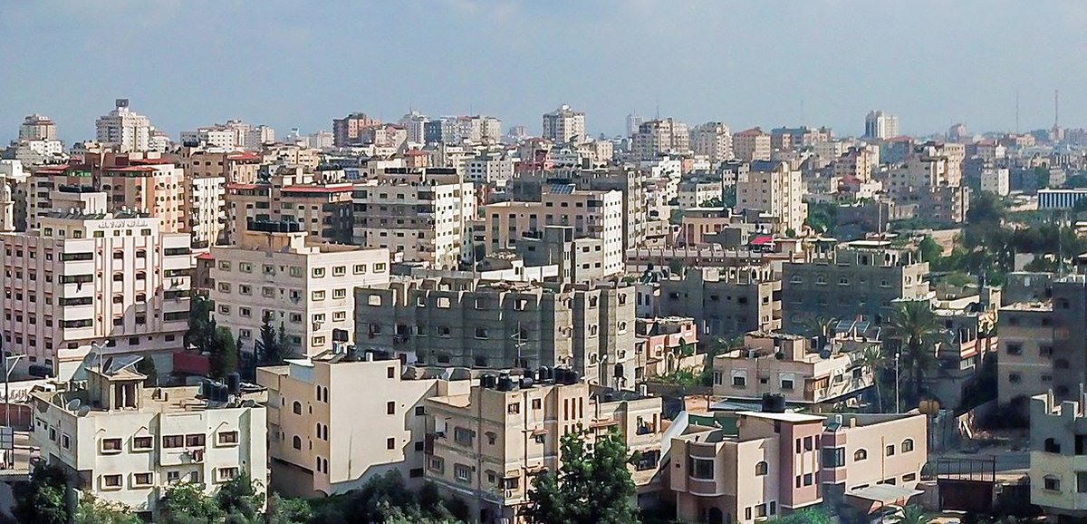 Steve Hall tweet media