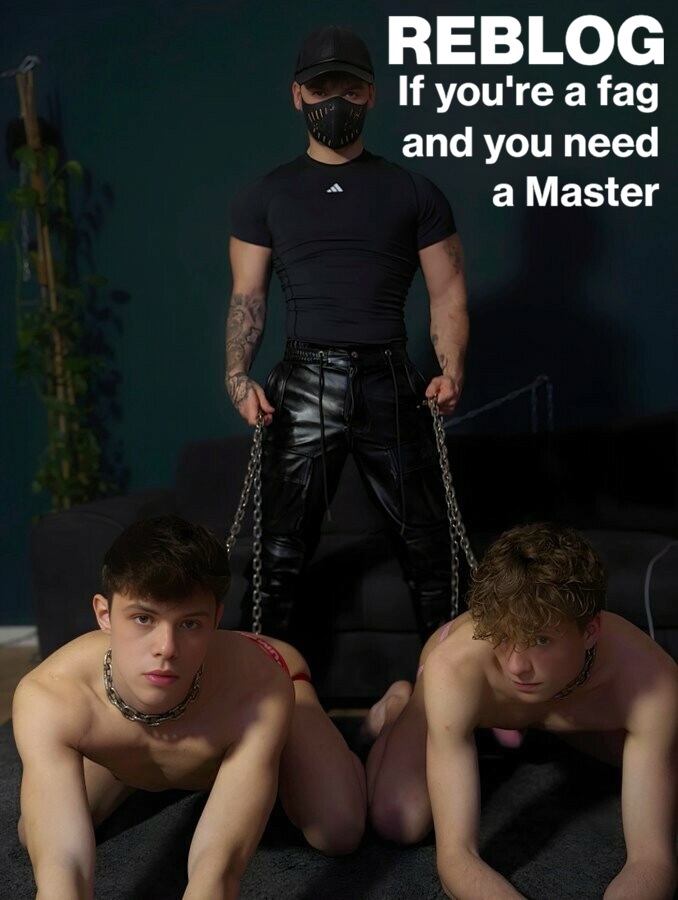 Gay Sub University🍆 tweet media