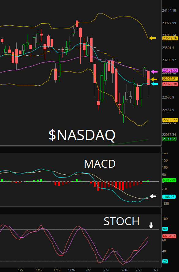 ChartingKatrina❤️🔥🎀 tweet media