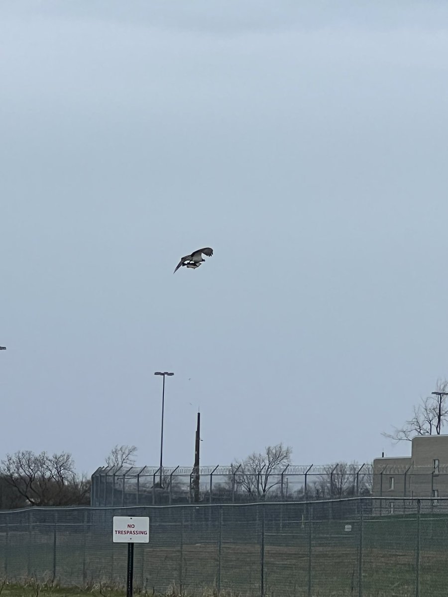 The Perfect Storm 🌪⛈🌪 tweet media