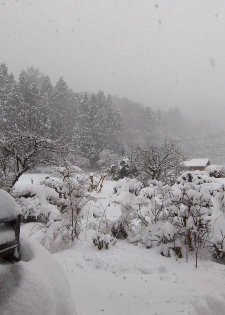 おはケフ🌱✨
島根県金城町☁️

あっという間に2月も終わりですね☃️
今月の金城は、こんなに雪が積もった日もありました😳☃️❄️

金城の華と雪景色も見納めかな🧐📸

本日は朝から外出の為
コメント欄は閉じております😣
今日も良い水分補給を〜🌐✨

#企業公式が毎朝地元の天気を言い合う