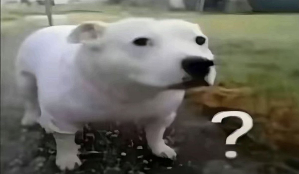 my friend just asked me if i could poop out a mini terrorist