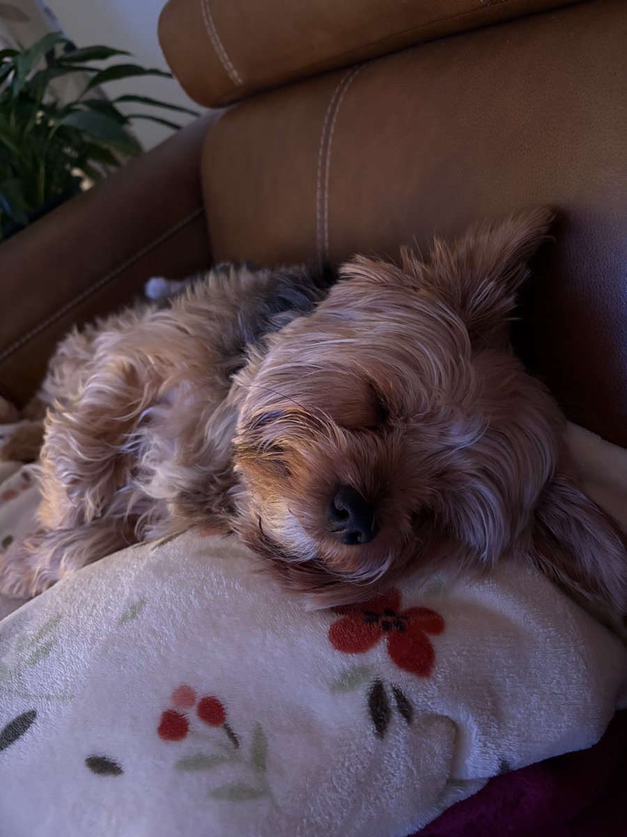 C’est difficile les rénos! 
On se couche tôt.