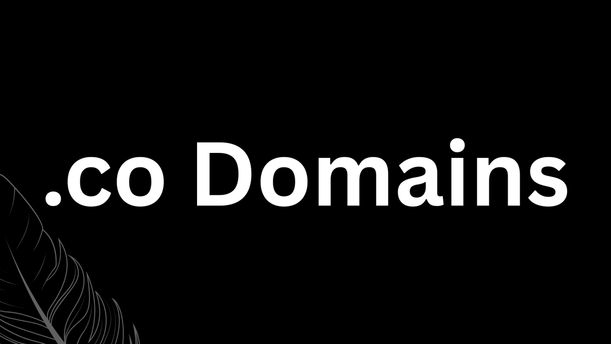 Mr Infinity tweet media