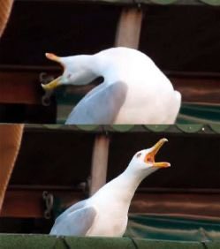 Mientras te alejas más de lo que nunca fue…
DE VERDAD SE QUE ESTO NO ME VA A MATAR PERO NO QUITA QUE AÚN ASI DUELA IGUAL