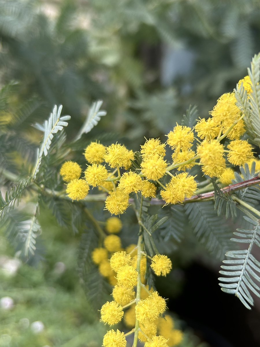 みさき tweet media