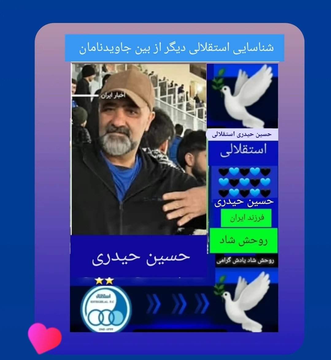 Zico_taj tweet media