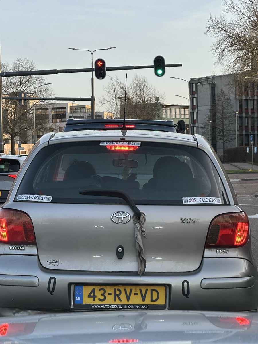 Remy Dominikowski tweet media