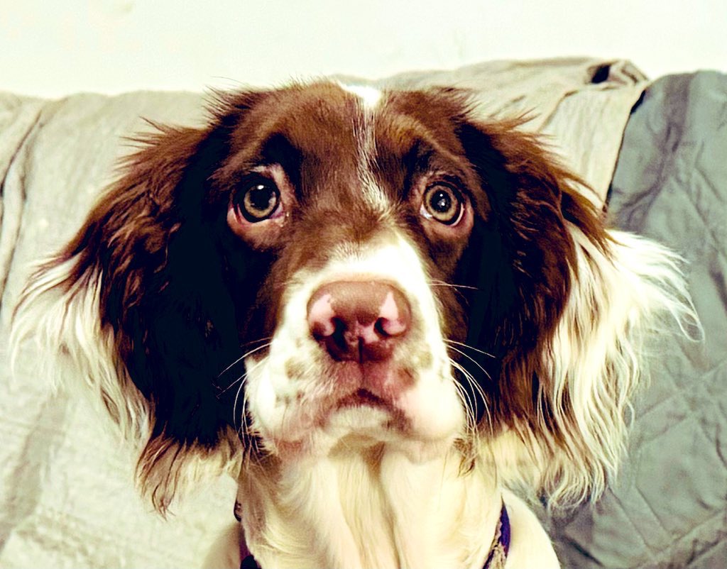 Barbara Atterson tweet media