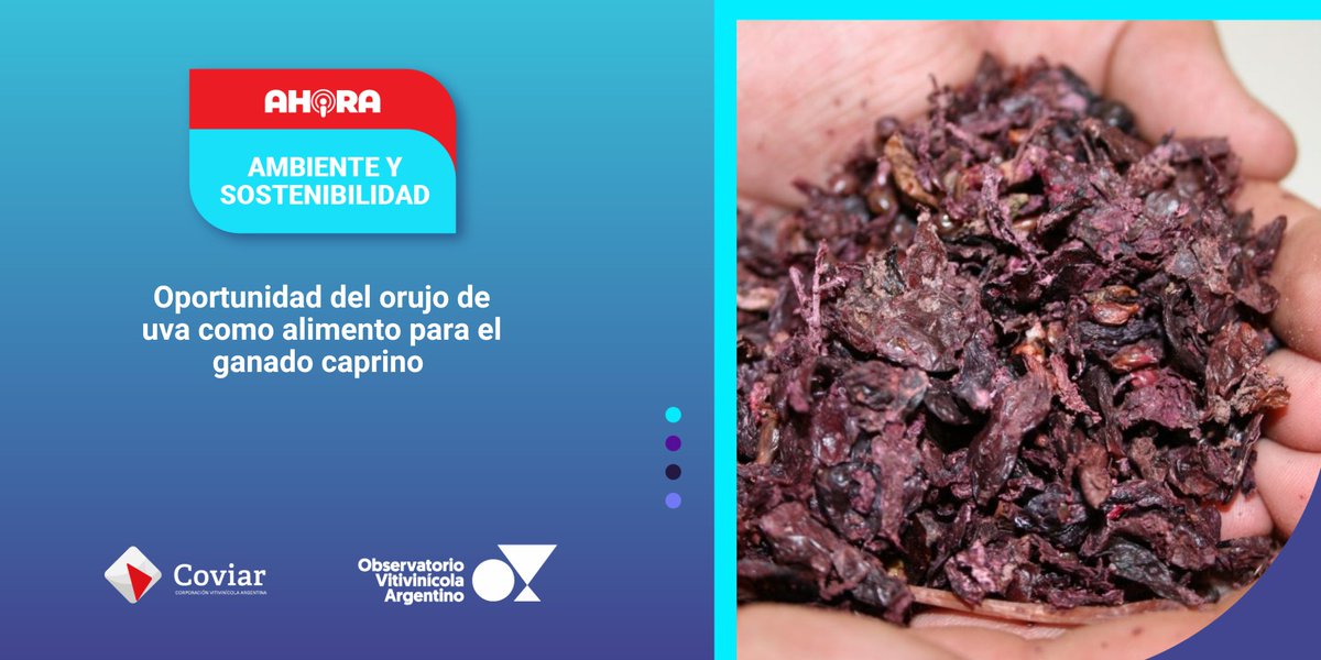 Observatorio Vitivinícola Argentino tweet media