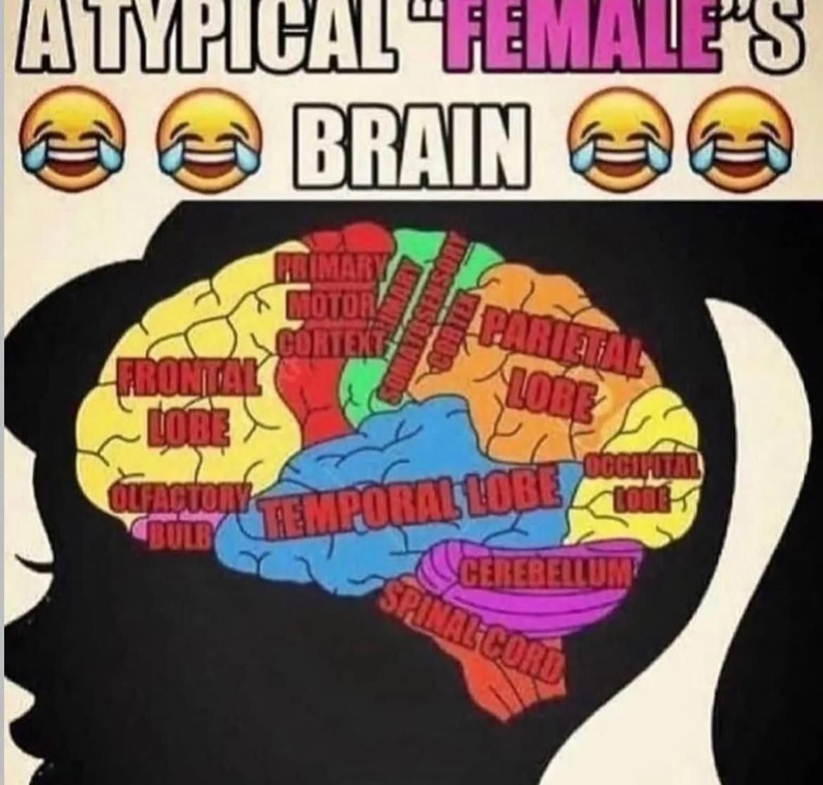 literal memes (@literalmem3s) on Twitter photo 