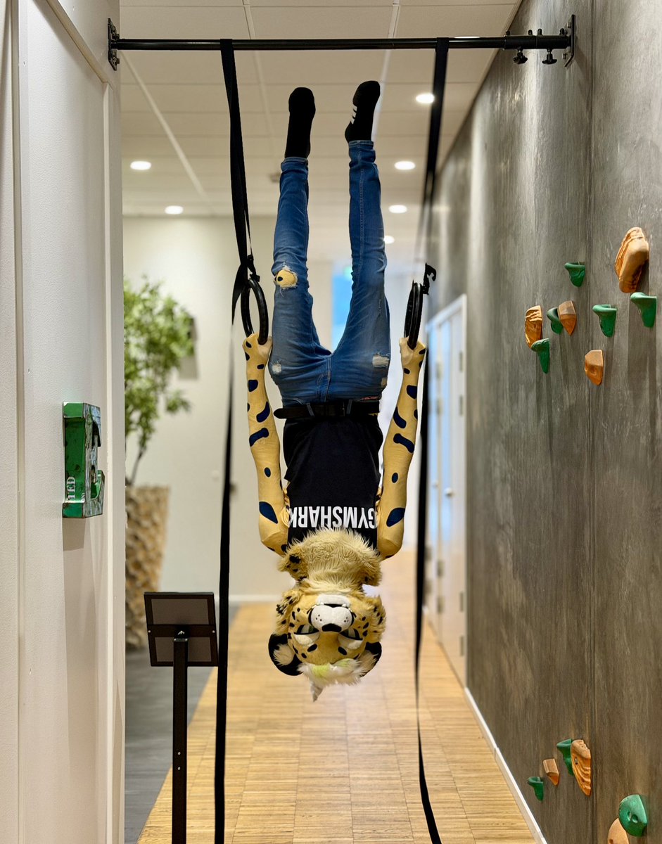 Van 🔜 FWA tweet media