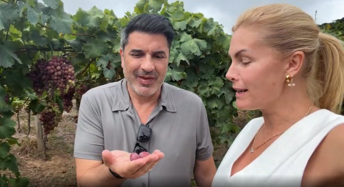 Ana Hickmann tweet media