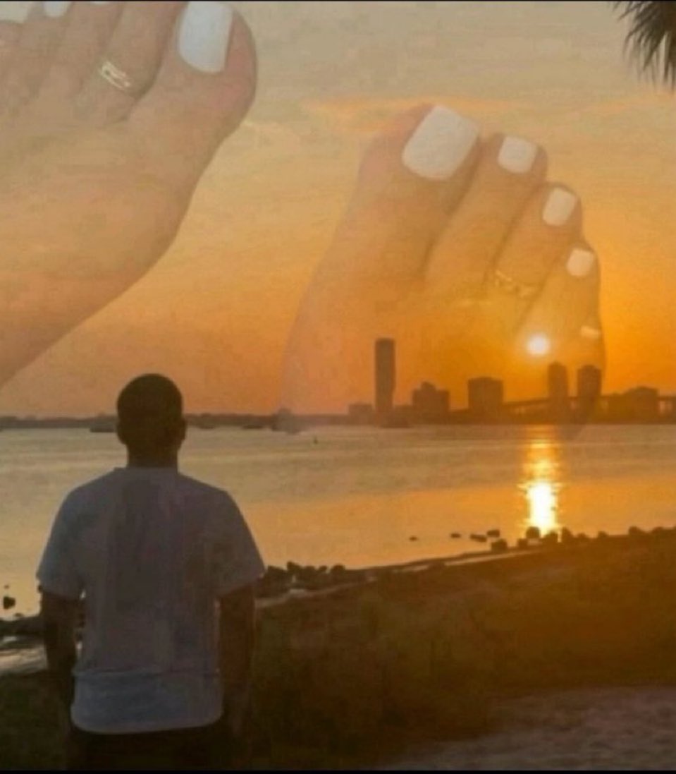 Jungle is Massive 🐾🐩 tweet media