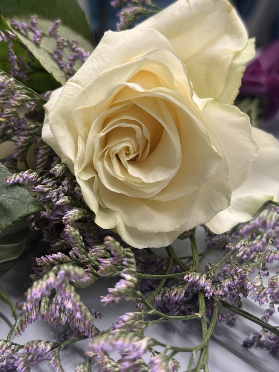 Charlie Bączyk-Bell 🏳️🌈 tweet media