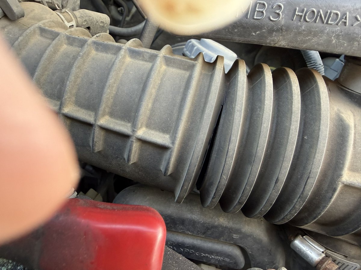 seedsoilsun tweet media