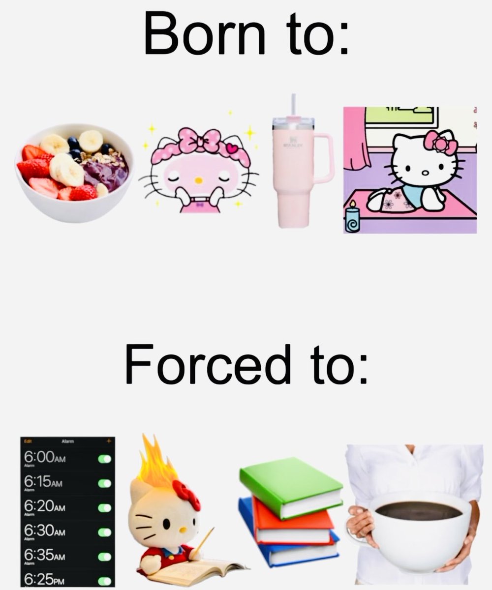 studymed ⚕️ tweet media