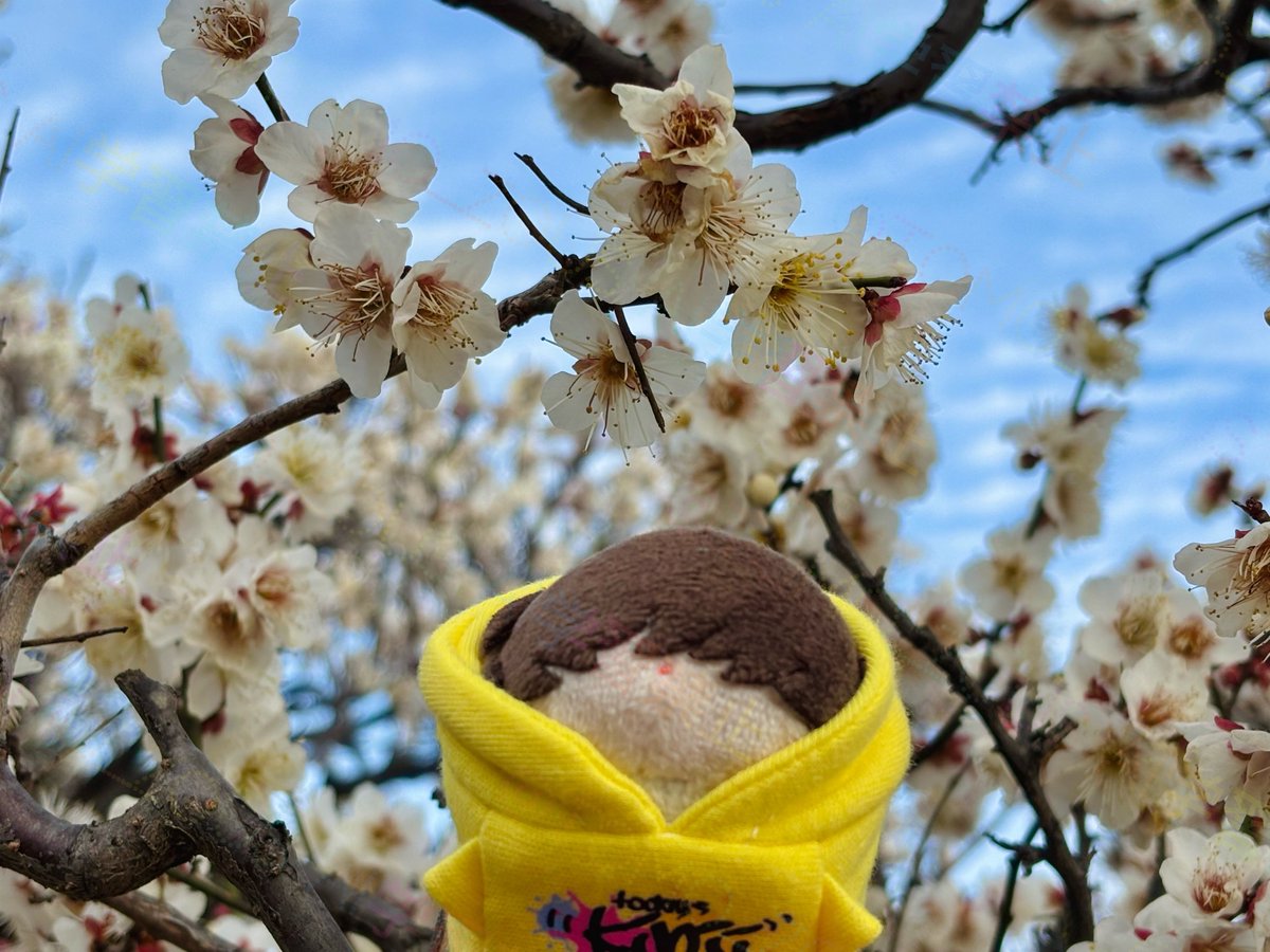 梅こもち🌸

その2

#金曜日だからこもち貼る 
#おもちもちもち金曜日