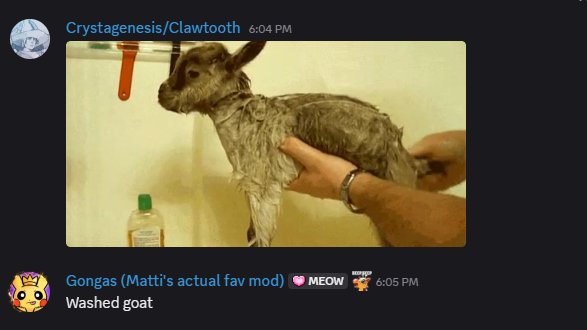 FlygonHG tweet media