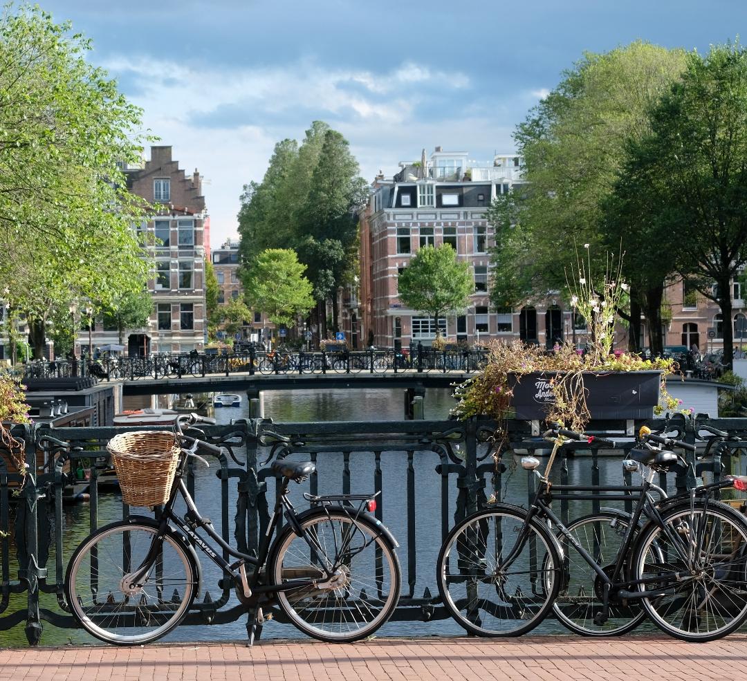 Stats Globe tweet media