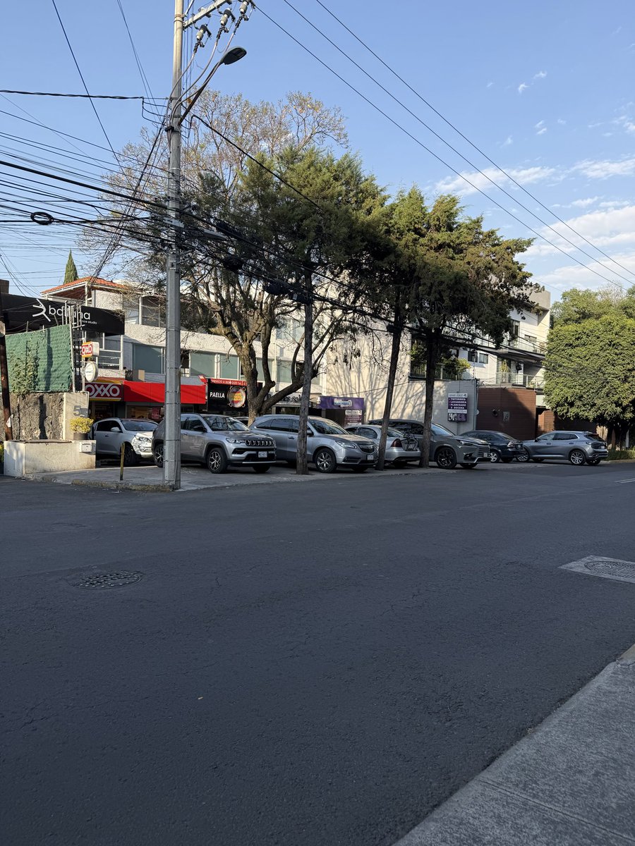 Carla Rendón tweet media