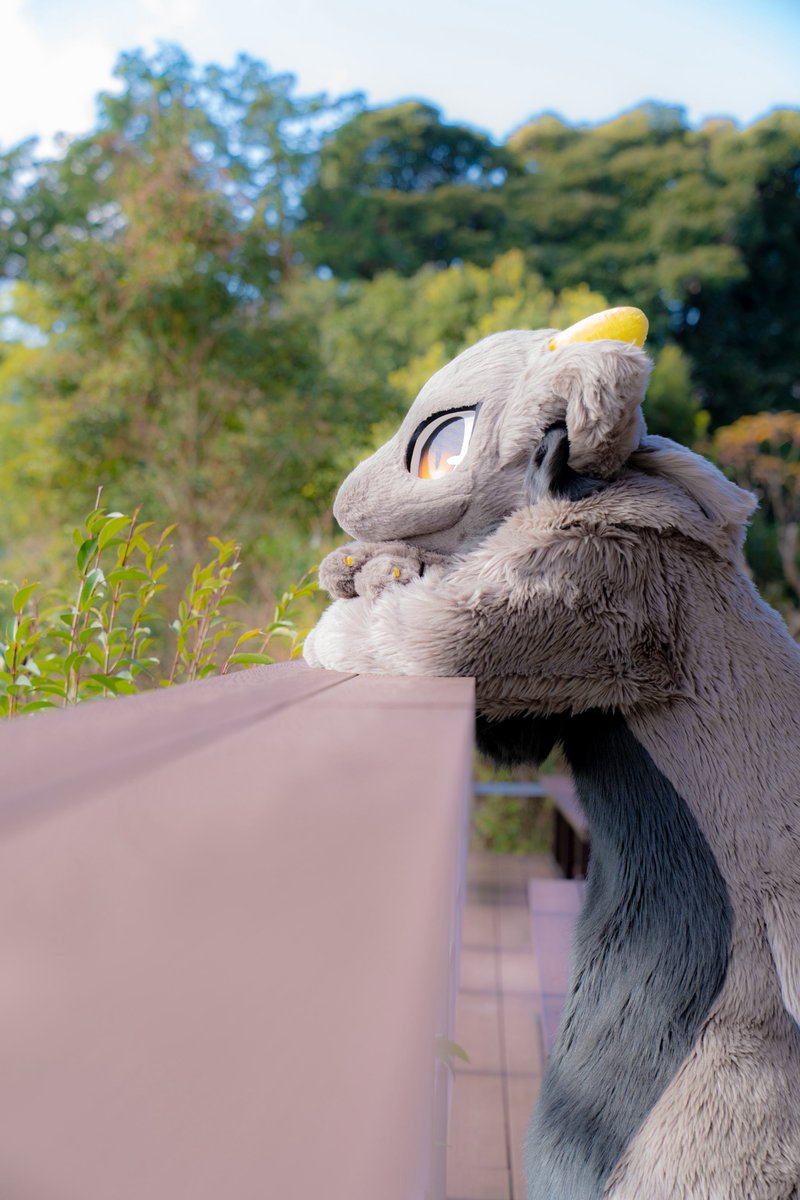 バイオ前線 tweet media